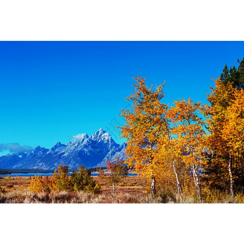 

Tiy 5 Lens 12V 6m LED Strip Light RGB Car Interior Light Ambient Light Decorative Fiber Optic Intelligent Control RV Auto Parts