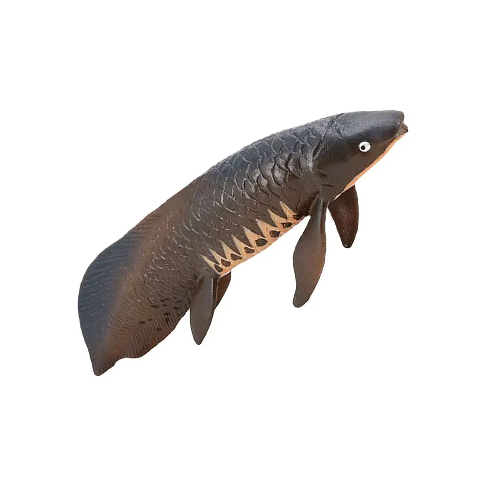 

Simulation Fish Realistic Plastic Decorative Ornamental Educational Cognitive Marine Animal Desktop Decor for Kids