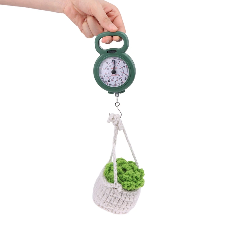 Mini Pointers Hook Spring Hanging Scale Portable Fishing Scale 10kg Capacity Food Digital Scale Luggage Scale Weighing Scales