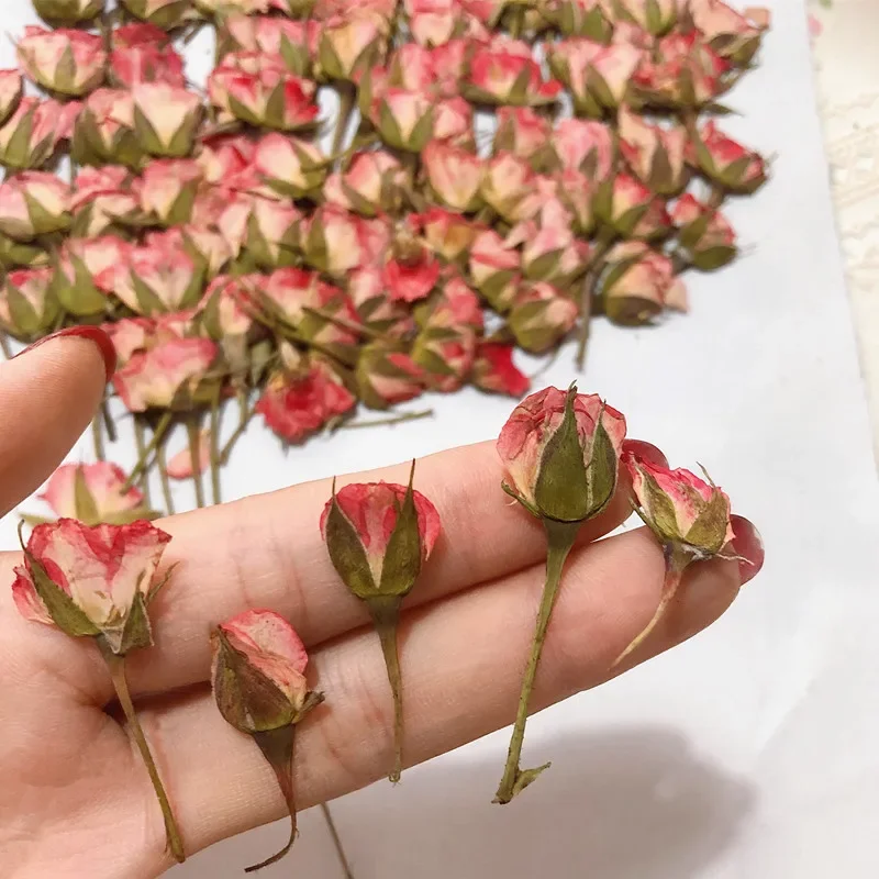 12pcs/3-5cm,Side Pressed Pink Yellow Red Mini Rose,Dried Flower DIY Glue Dripping Phone Case Photo Frame Bookmark Card Material