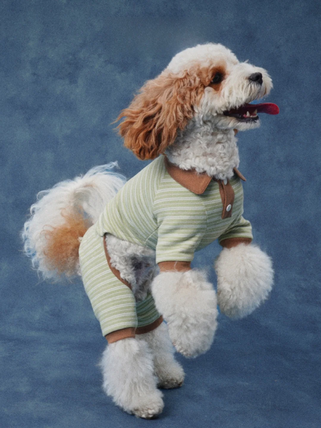 lazyeazy-–-vetements-pour-chiens-a-quatre-pattes-doux-et-confortables-col-rabattu-pour-chiens-de-taille-moyenne-et-petite