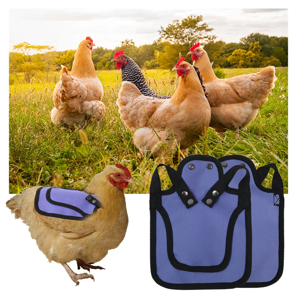 Sillín de gallina impermeable, accesorios de protección divertidos, Protector de plumas, chaqueta trasera, delantal Protector de gallina, sillín de pollo, ropa para mascotas