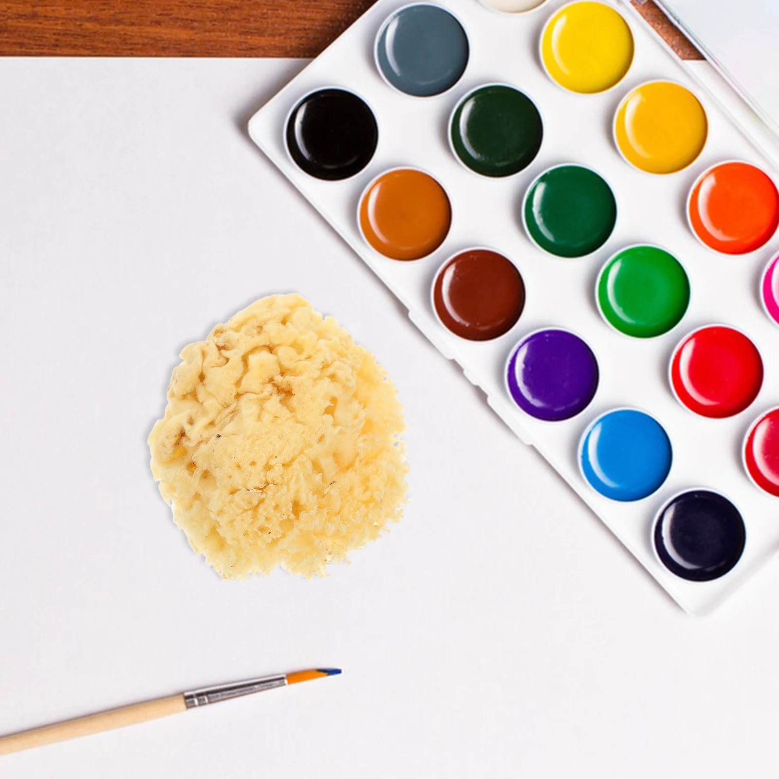 

Natural Sea Sponge 2.0-2.5 Inch Art Sponge For Painting Watercolor Acrylic Texture Craft Projects Painting Tools