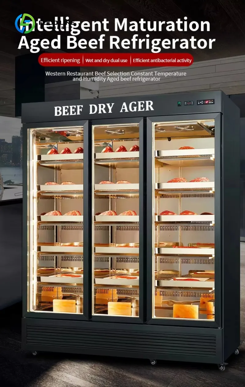 Customized Dry Aged & Thawing Cabinet - Multi-layer Stainless Steel Maturing Fridge for Beef Meat Cheese Restaurant Kitchen
