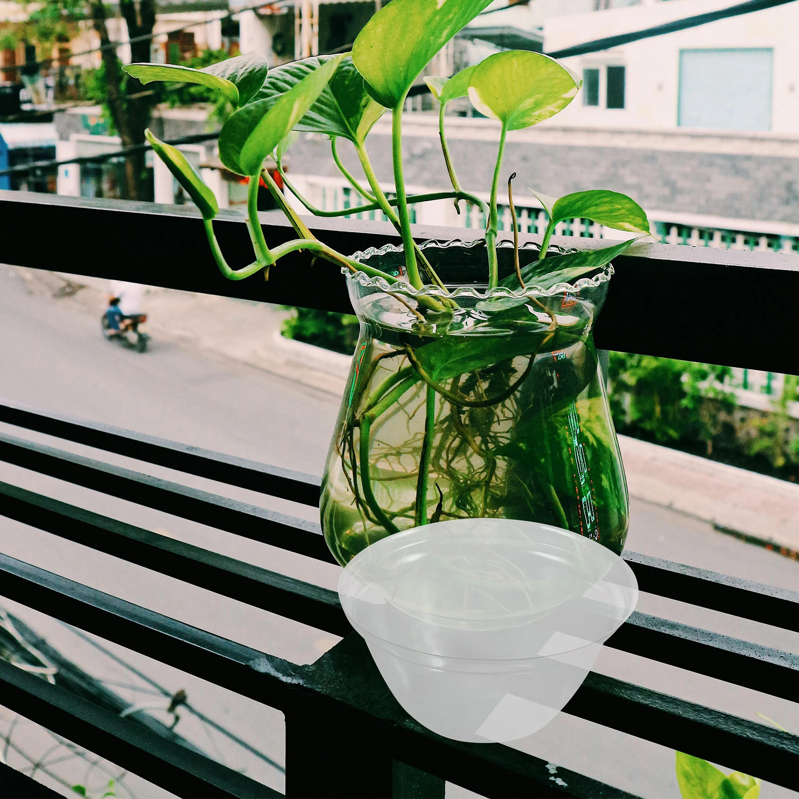 

100Pcs Plant Growth Dome Covers Garden Plant Cloches Thermal Insulation Transparent Seedling Dome Caps Easy Install Hydroponic