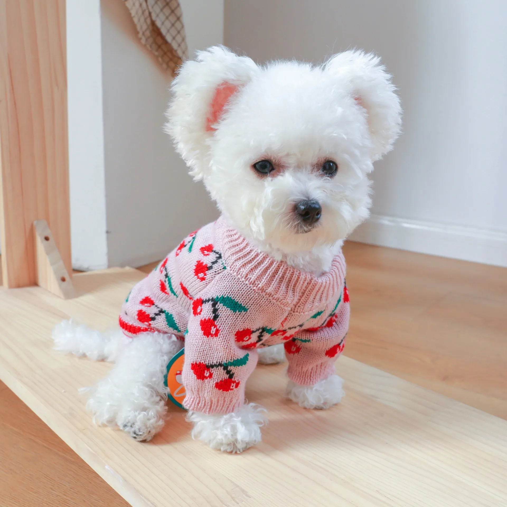 Teddy Beautiful None Pull pour petits et moyens chiens, vêtements d'hiver chauds, tricots Yorkshire Bichon, vêtements de fruits