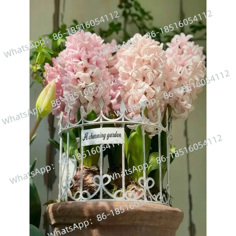 Value Two-piece Set! Foreign Trade Export Garden Groceries Japanese Small Fresh Crown Flower Plug Fence Flower Plug Ornament