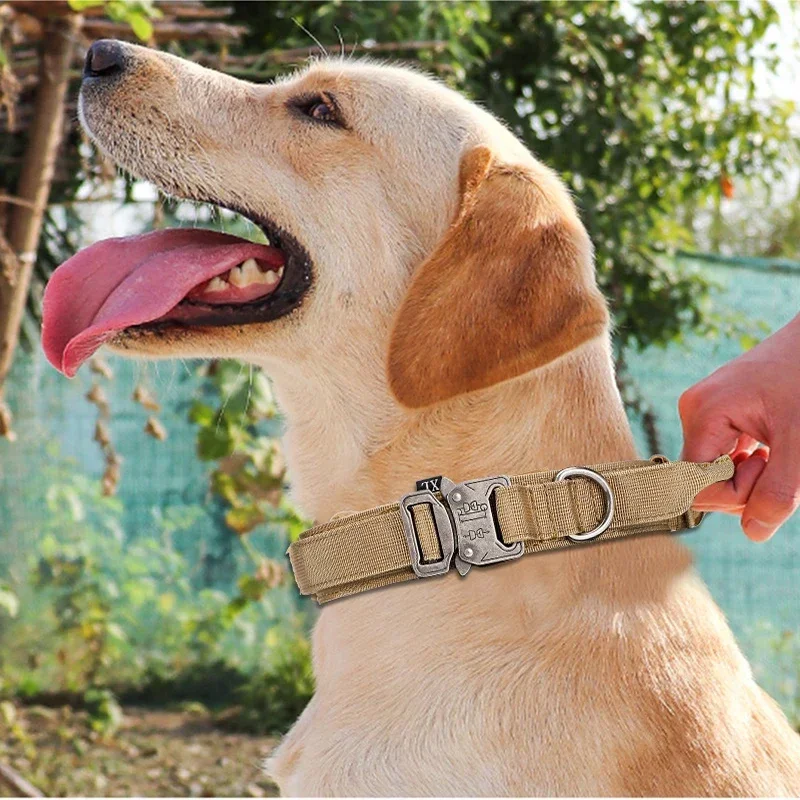 

NEW Dog Leash Set Pet Dog Collar Leash Set Nylon Material Durable Dog Collar Reflective Leash Pet Tactical Training Collar Large