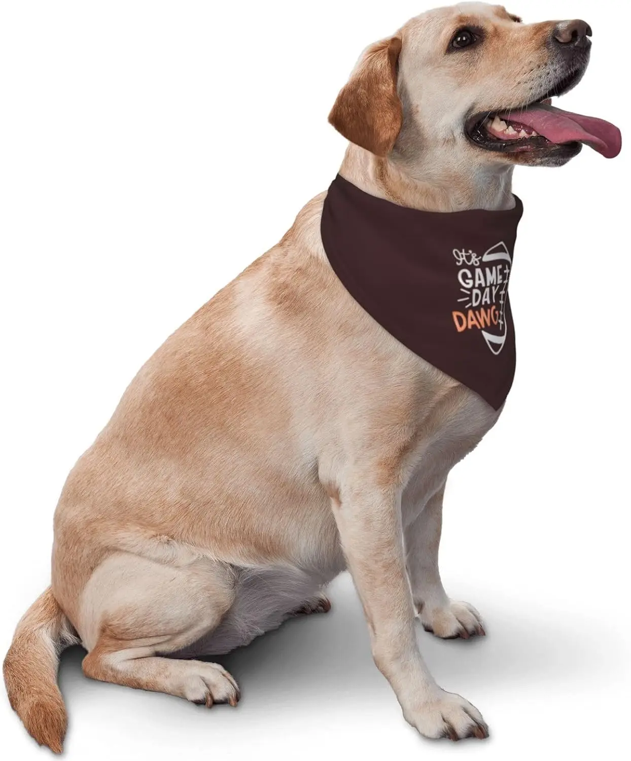 Game Day Football Bandana Reversible Fall Pet Scarf for Dog Photo Prop Owner