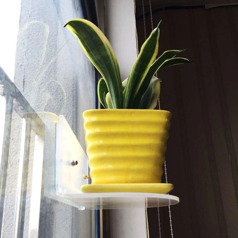 Estante ventana taza succión: jardín interior, sostenga sus macetas maceta, semilla