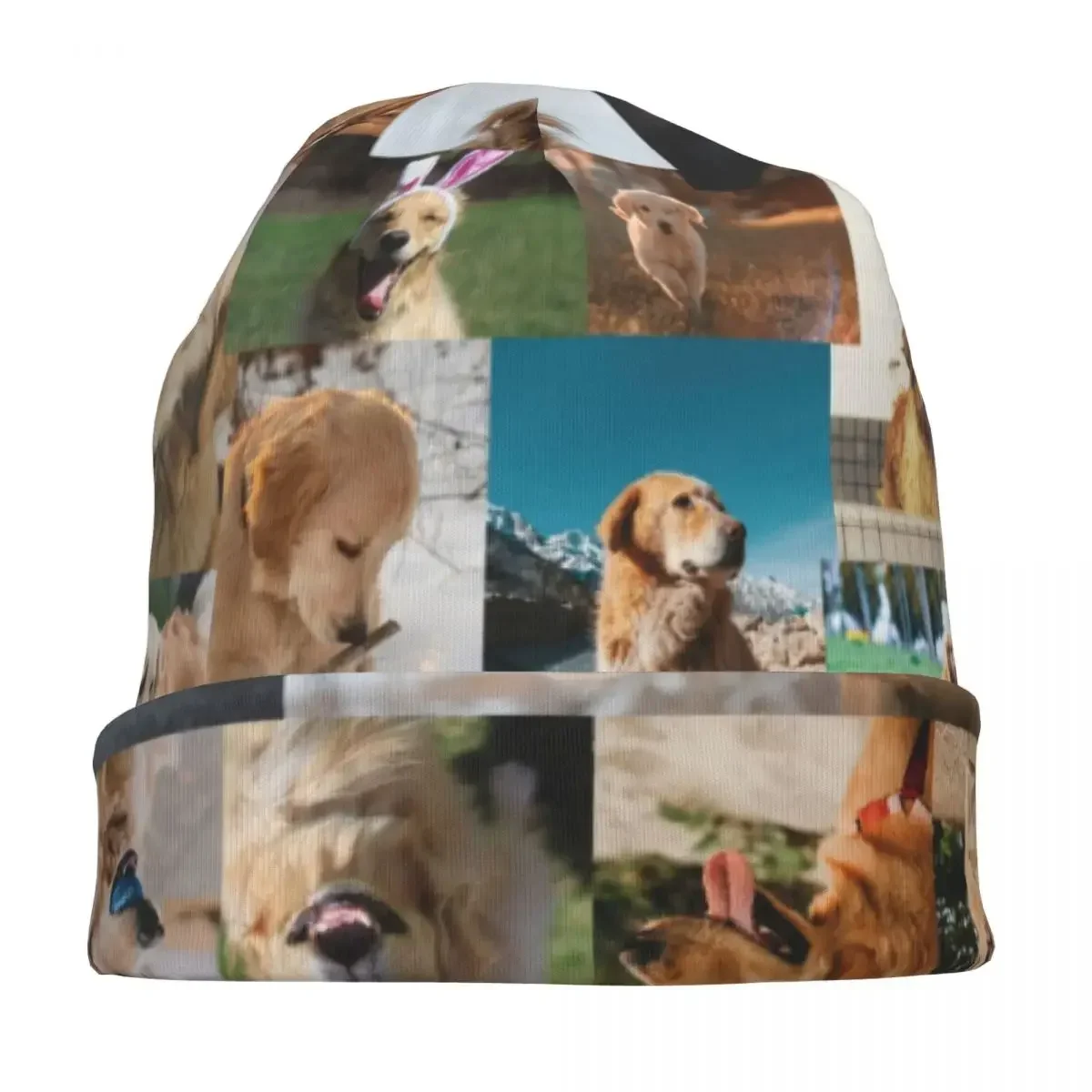 Golden Retriever Collage Skullies Beanies Hat Cute Dogs Puppy Vintage Men Women Outdoor Caps Warm Dual-use Bonnet Knitted Hat