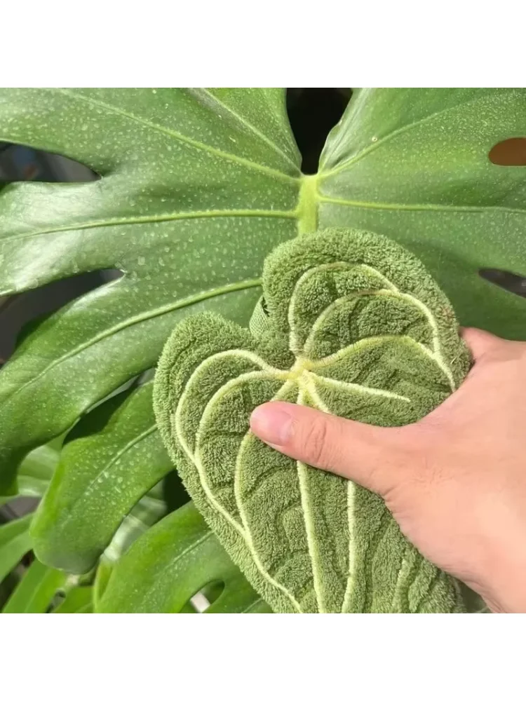 Washable Clear Plant Print Towels Ultra-Absorbent Quick-Dry Hanging Loop for Bathroom Kitchen Thumb Hand Towel Decor