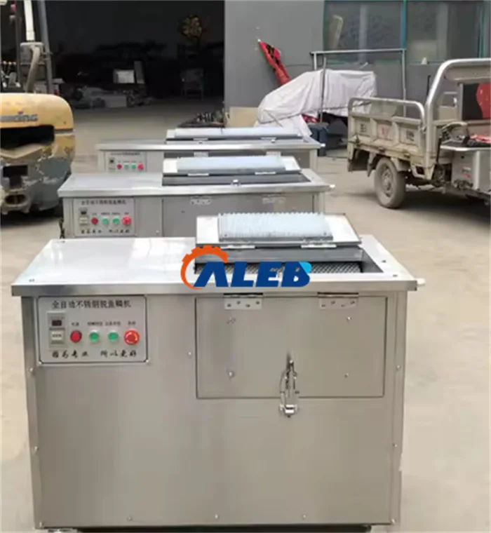 Fotografia 5: Máquina de Limpeza de Peixes com Baixo Preço para Processamento de Peixes, Remoção de Escamas e Evisceração