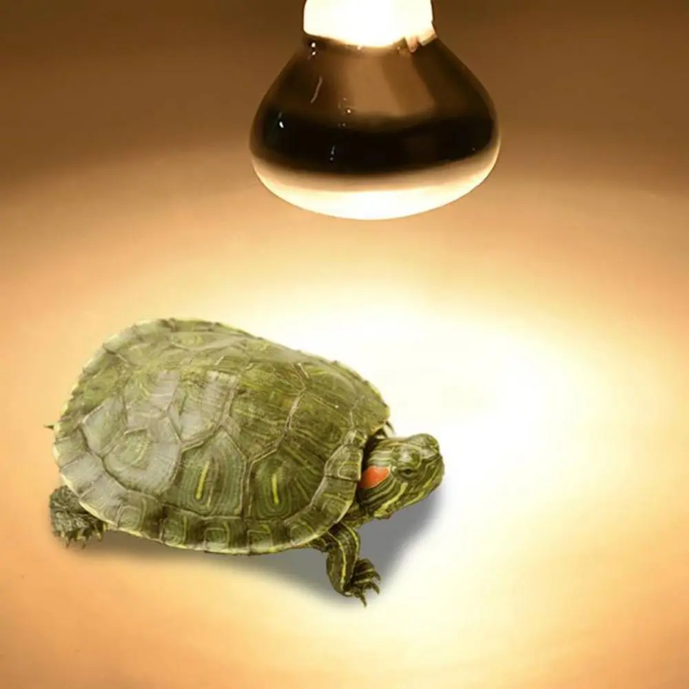 

Turtle Heat Lamp Temperature Controller Halogen Bulb UVA Light Reptile Basking Light