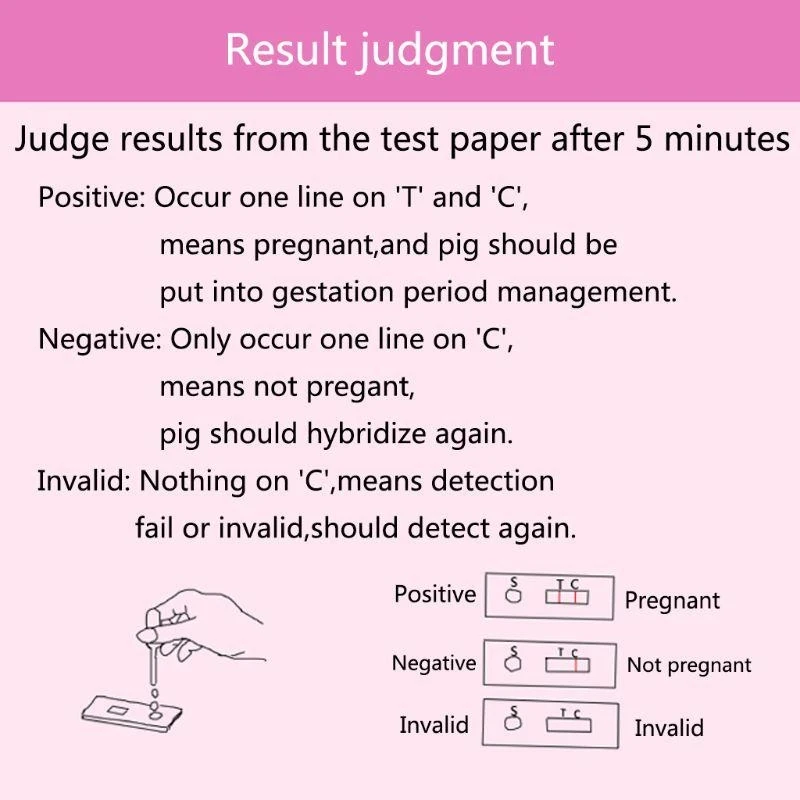 Pig Pregnancy Test Pregnancy Test Strip Piglets Diagnostic Pregnant Detection Tester Set Home Test for Pet Pigs