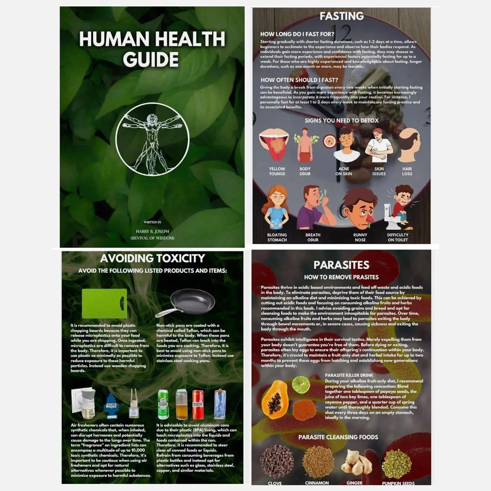 دليل الصحة البشرية لجوزيف كتاب العافية للمساعدة الذاتية للتأمل والنمو الروحي والتنمية الفردية #4