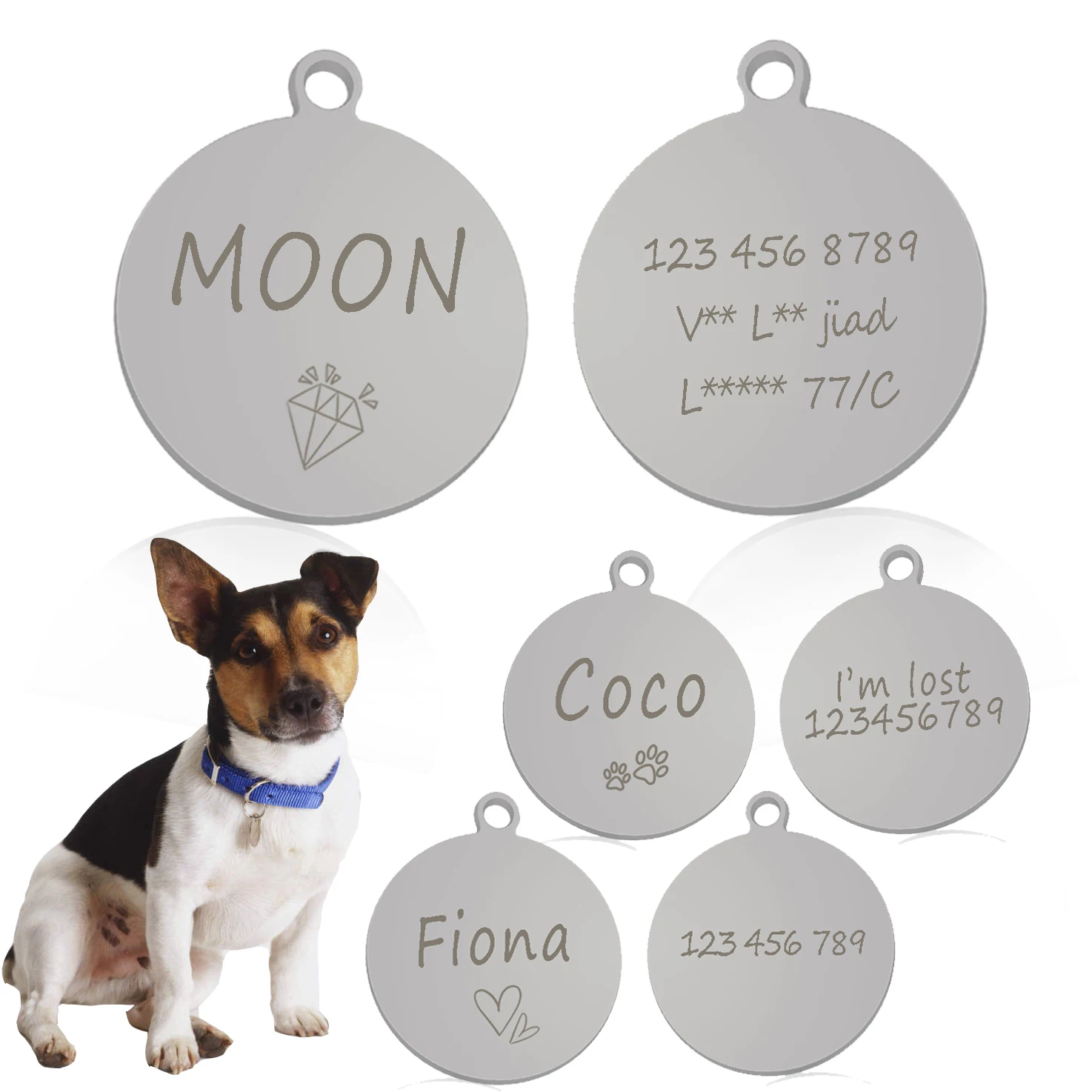 Free Customized Pet Cat Dog ID Tag Personalized Name Tags Puppy Stainless Steel Accessories Dropshipping