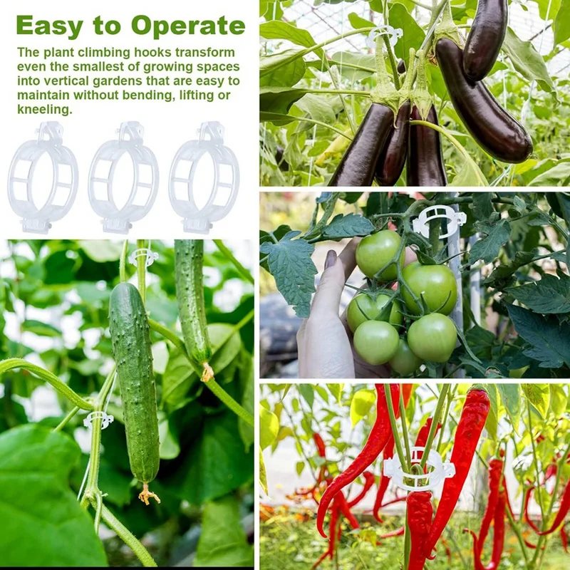 40Pcs Tomato Hooks With String, Tomato Support Hooks, Tomato Holder Hooks & Plant Support Clips With 33.3Ft Twine Easy Install