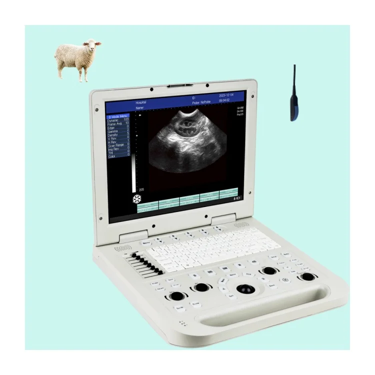 

Portable Ultrasound Veterinary Vet Rectal Linear Probe Ultrasound for Farm Cattle Digital