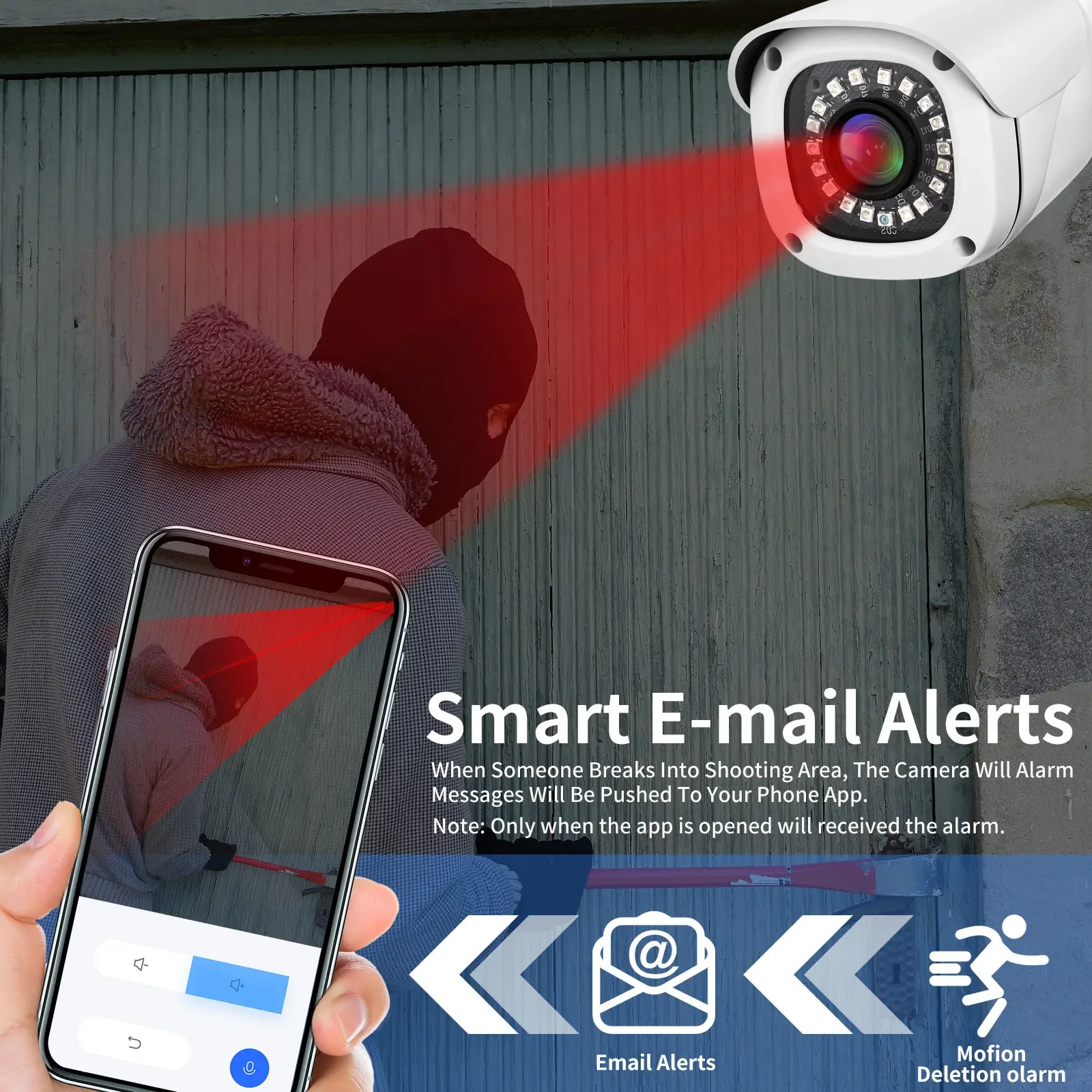 Рисунок 5 - Gadinan широкоугольная 2