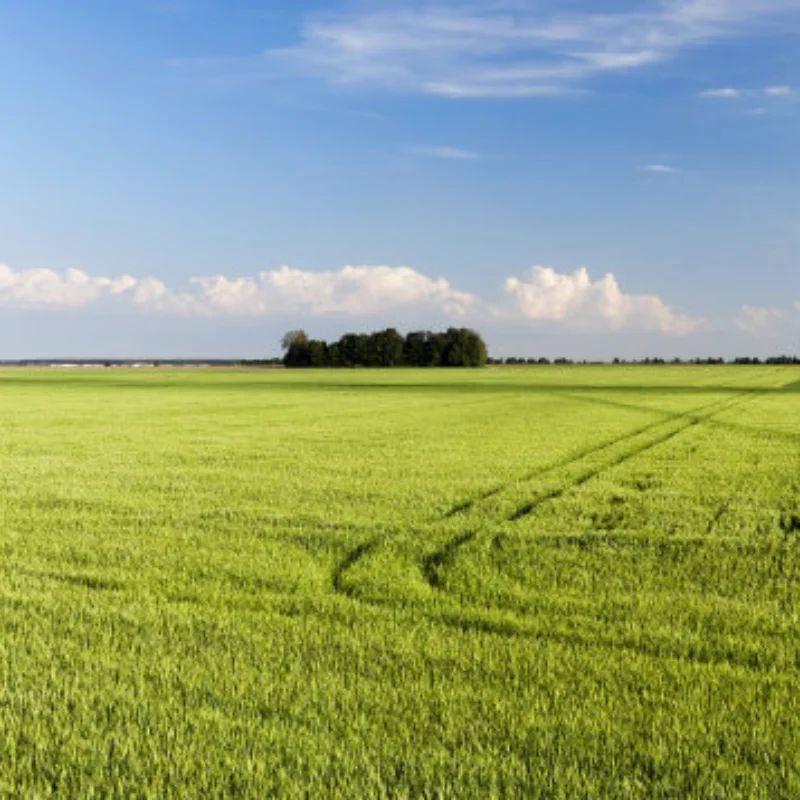 

MJX 14301 14302 14303 14209 14210 RC Remote Control Car Parts Modified Car Shell Heightening Column