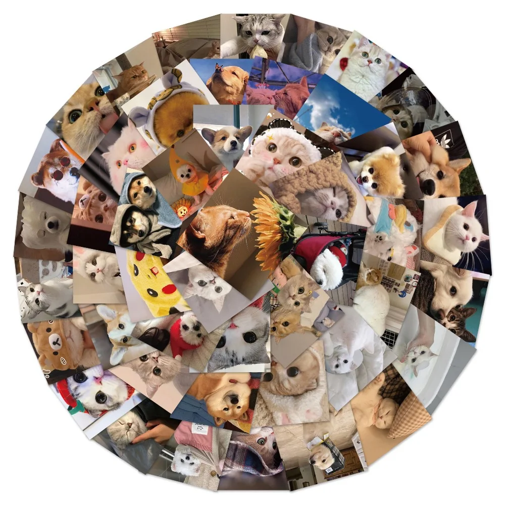 48-Piece Set Of Cartoon Cute Cat And Dog Graffiti Waterproof Stickers Creative Trendy Personalized Helmet Decoration Decals