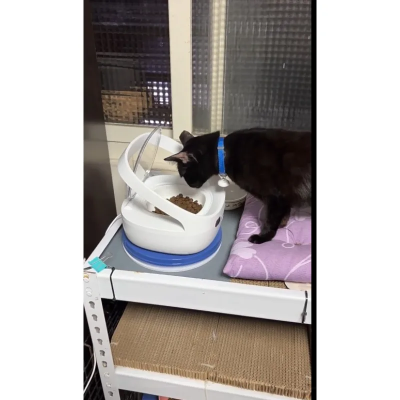 Smart Multi-Pet Automatic Feeder Precise Portion Control Anti Food Theft Timed Dispenser for Cats Dogs