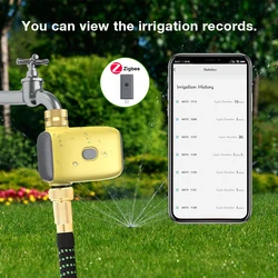 Tuya Zigbee temporizador riego inteligente automático goteo exteriores