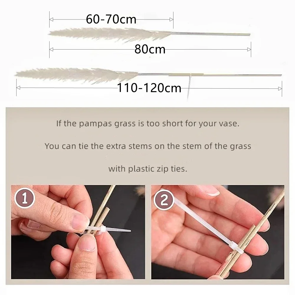 Thumbnail 4 - #9 Trending Dried Flowers Right Now