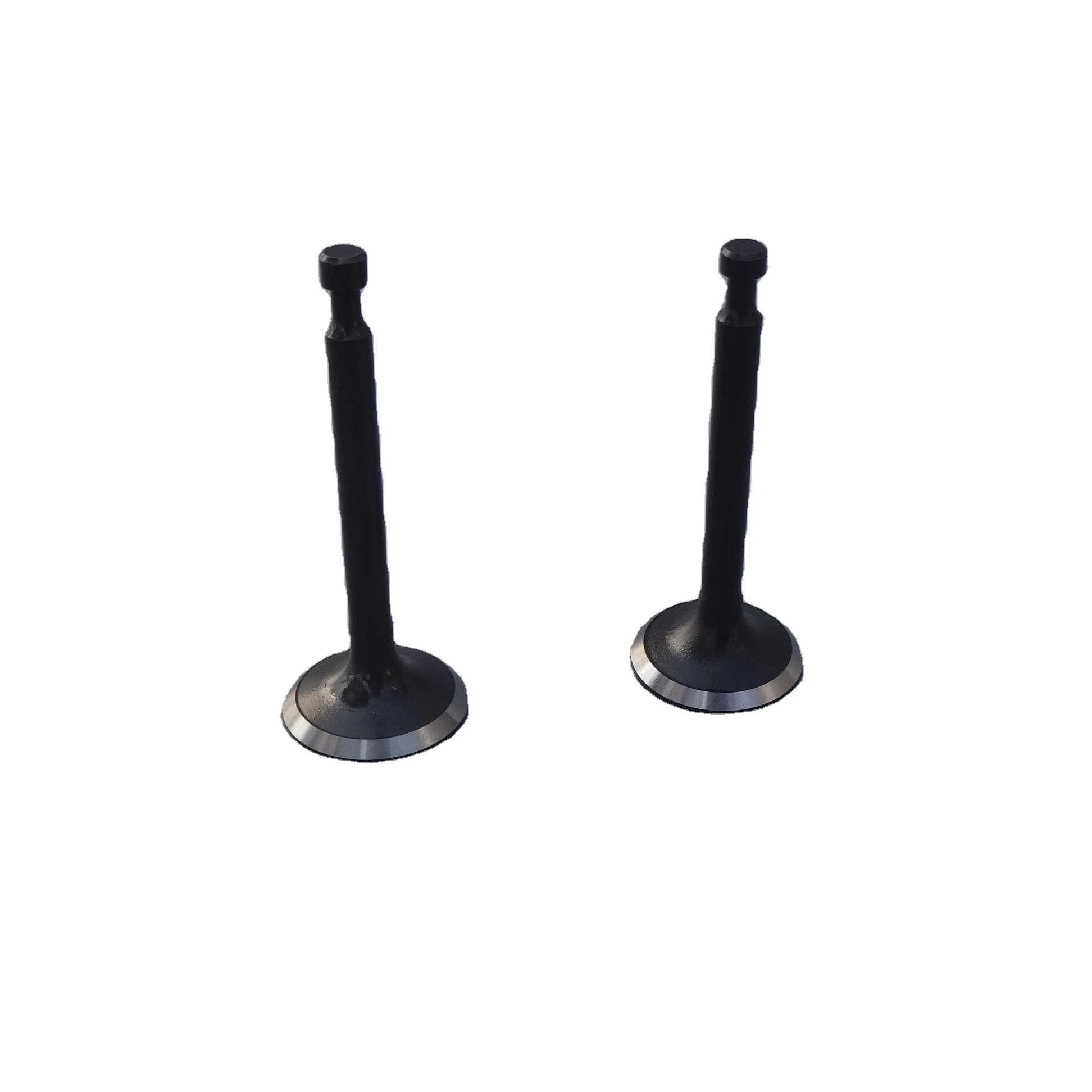 

EH09 EH12 ER12 EX17 EX21 EX27 EX35 EX40 EY15 EY20 EY28 Inlet& Exhaust Valve for engine spare part