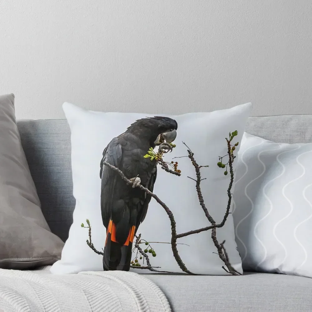 

Animal Collection - Black Cockatoo Red Tail Throw Pillow home decor items Christmas Pillow Covers luxury decor pillow