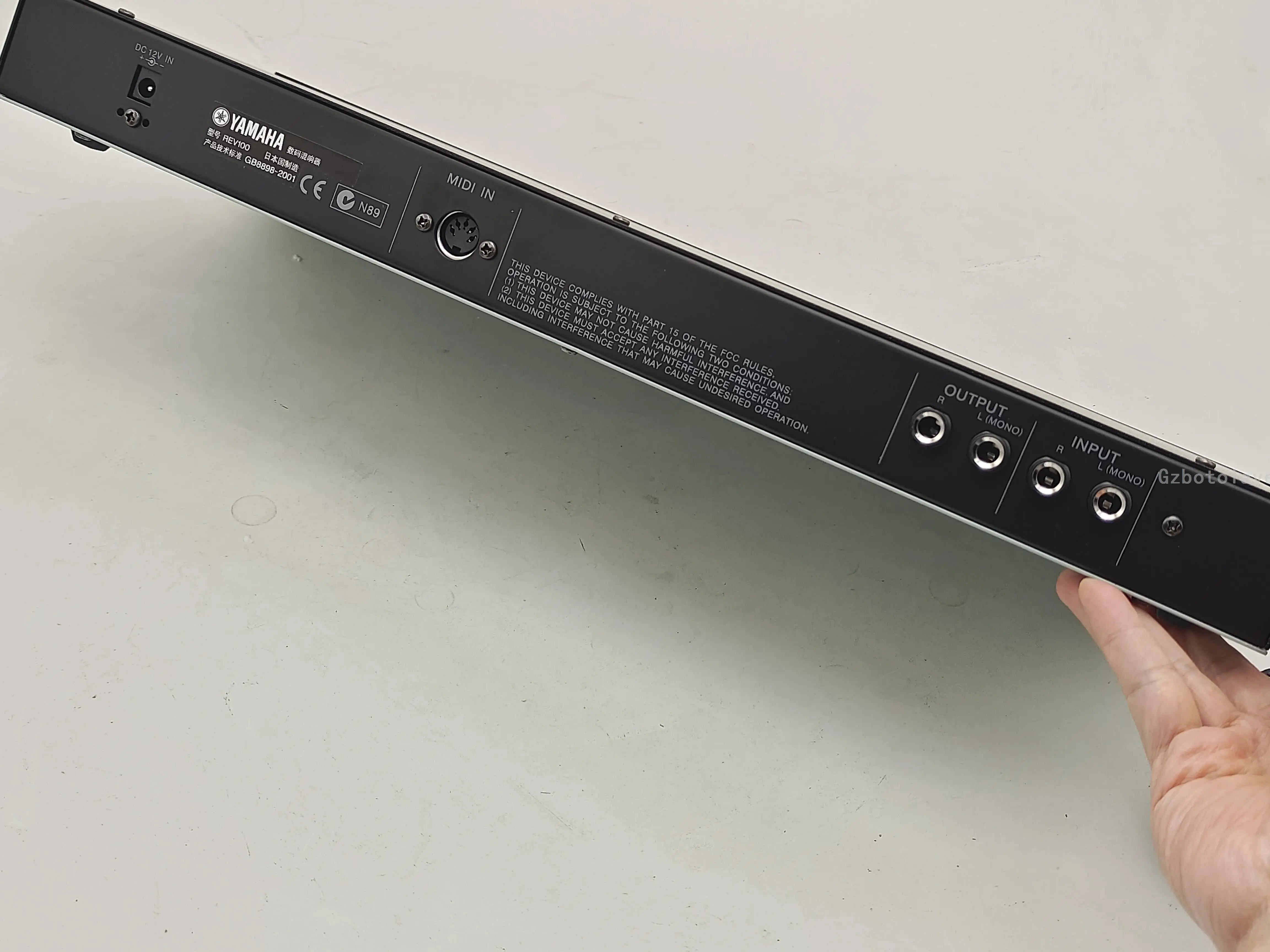 Prosesor reverberator digital efektor digital panggung KTV REV100DSP profesional dengan adaptor daya