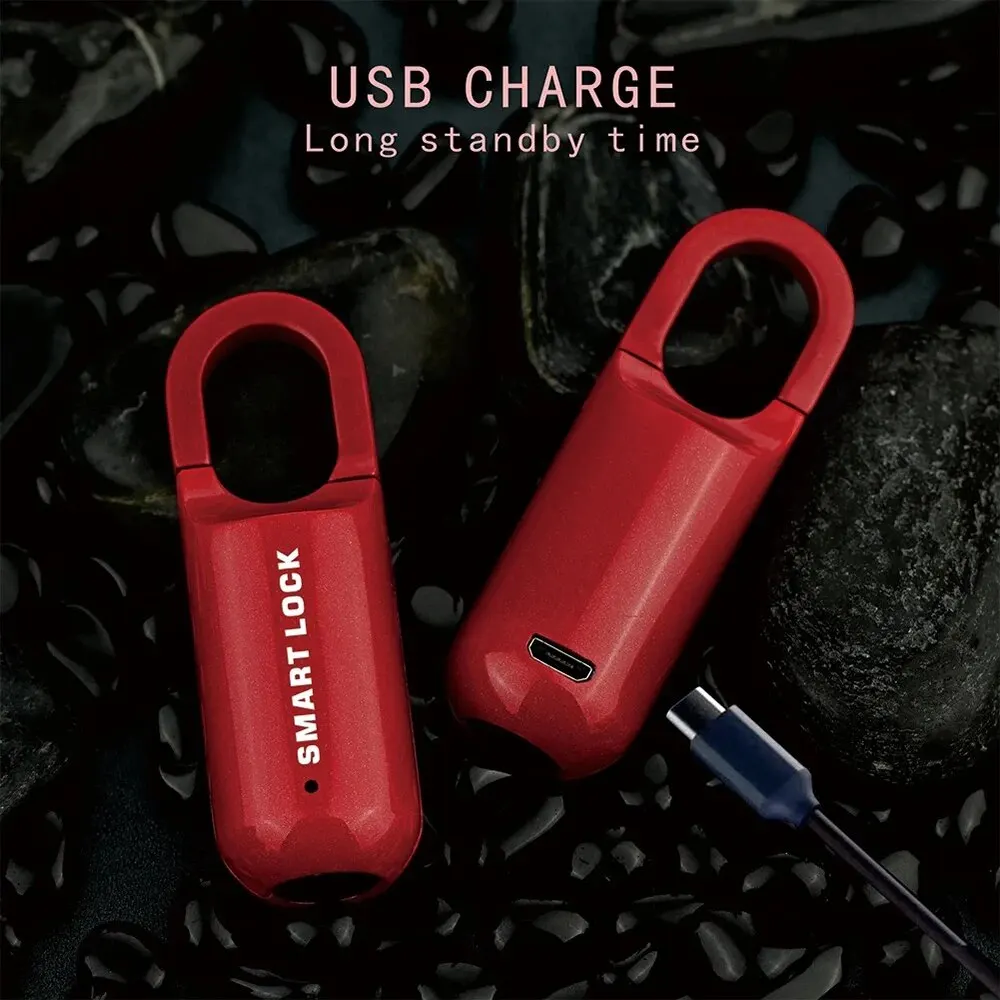 Mini cadenas à empreintes digitales, serrure de bagage sans clé USB, serrure électronique, biométrique intelligente, serrure de porte à empreintes digitales, déverrouillage rapide pour les voyages