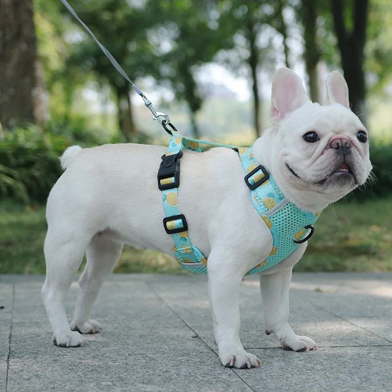 New Style Dog Chest Strap Vest Type Big Dog Chest Strap Explosion-proof Flush Walking Dog Rope Reflective Pet Traction Rope