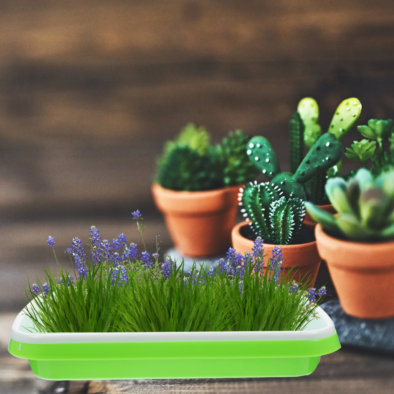 

2 Pcs Seedling Plastic Multipurpose High Germination Rate Fast Growth Durable Double Layer Design