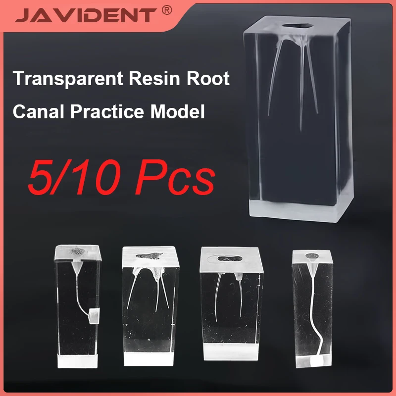 5/10Pcs Dental Endodontic Cubes File Training Model Training Block Endodontics Student Teaching Model Dental Module