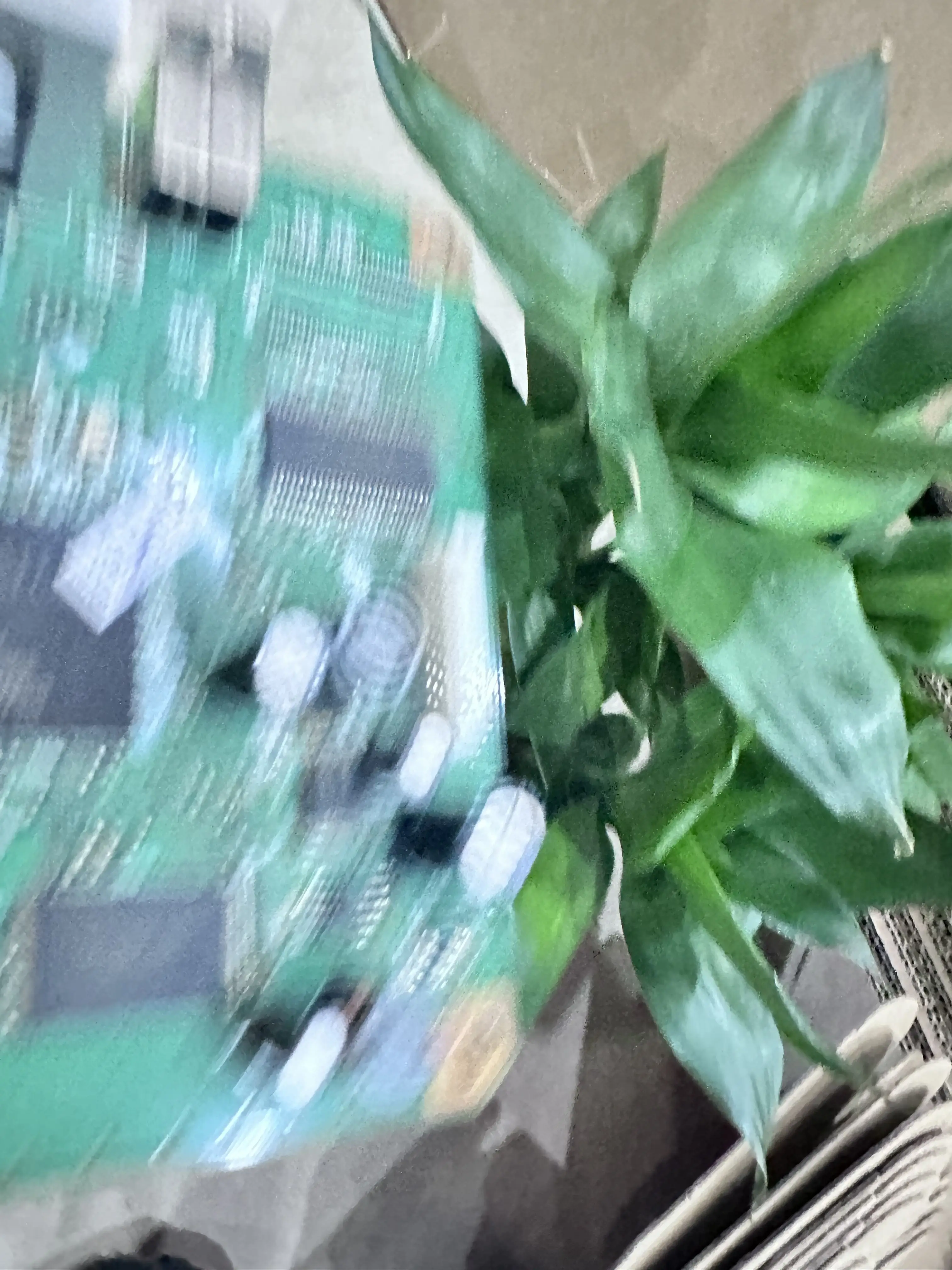 C655 Main. Epson R1… - image