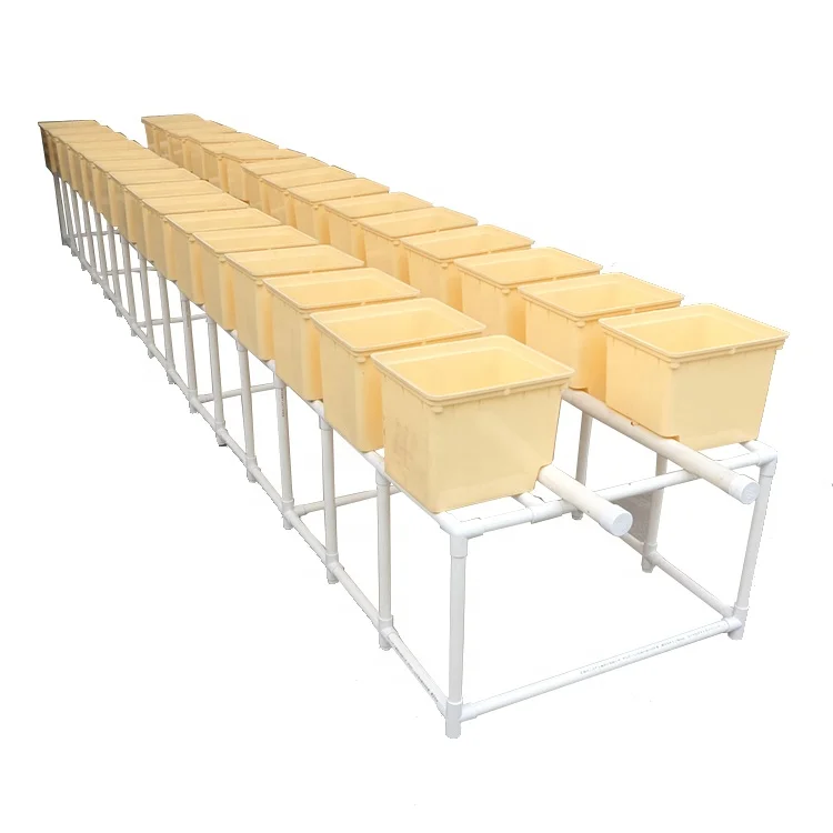 Hydroponic Dutch buckets are used in agricultural irrigation systems