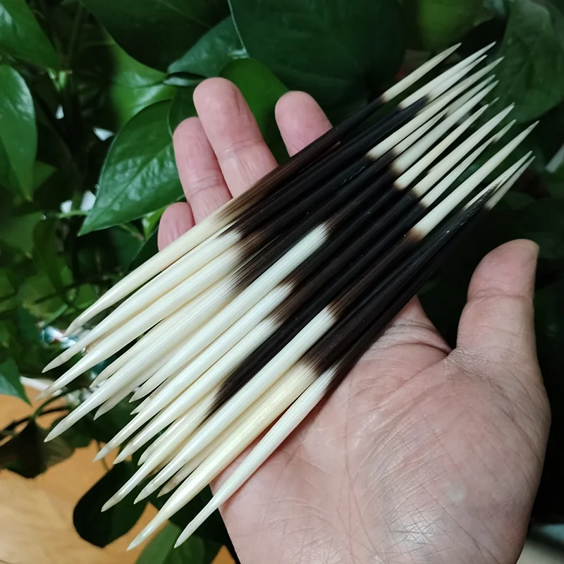 아프리카 고슴도치 퀼트 비녀, 인도 공예 액세서리, 낚시 부표, DIY 천연 뼈 쥬얼리 공예 예술, 1 LOT