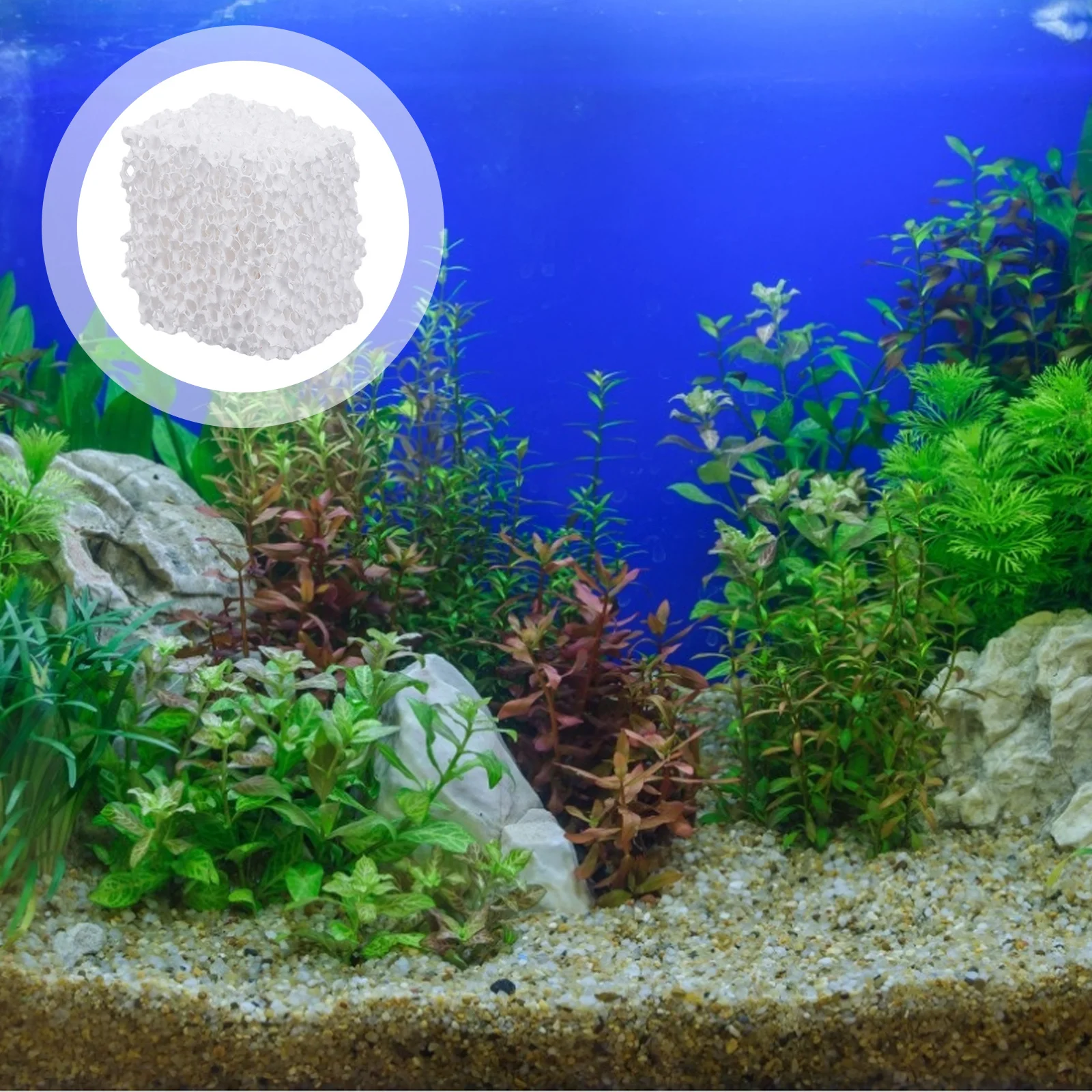 

10Pcs Bio Filter Media Aquarium Nitrate Reduction Hollow Middle Anaerobic Environment Fish Tank Bio Filter Brick