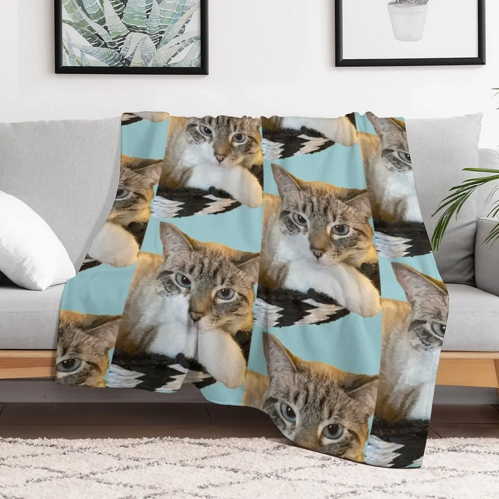 Cat in a Basket Throw Blanket Plaid on the sofa Luxury Designer Blankets