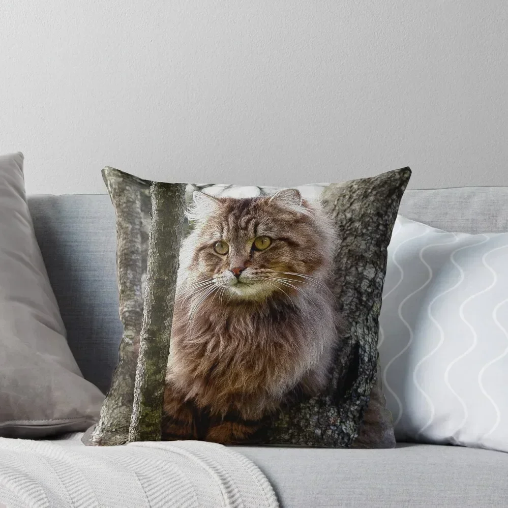 

Maine Coon Cat Artwork Throw Pillow Sofa Cushions Covers Sofa Pillow Cover Pillow Cases Decorative