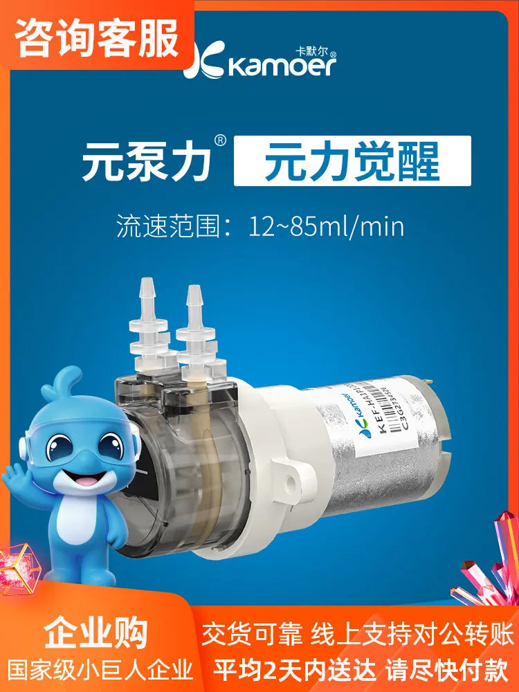 

Kamler 12V Mini Self-Priming Electric Peristaltic Pump Gear-driven Quantitative Water Pump Micro Pump for Laboratory Use
