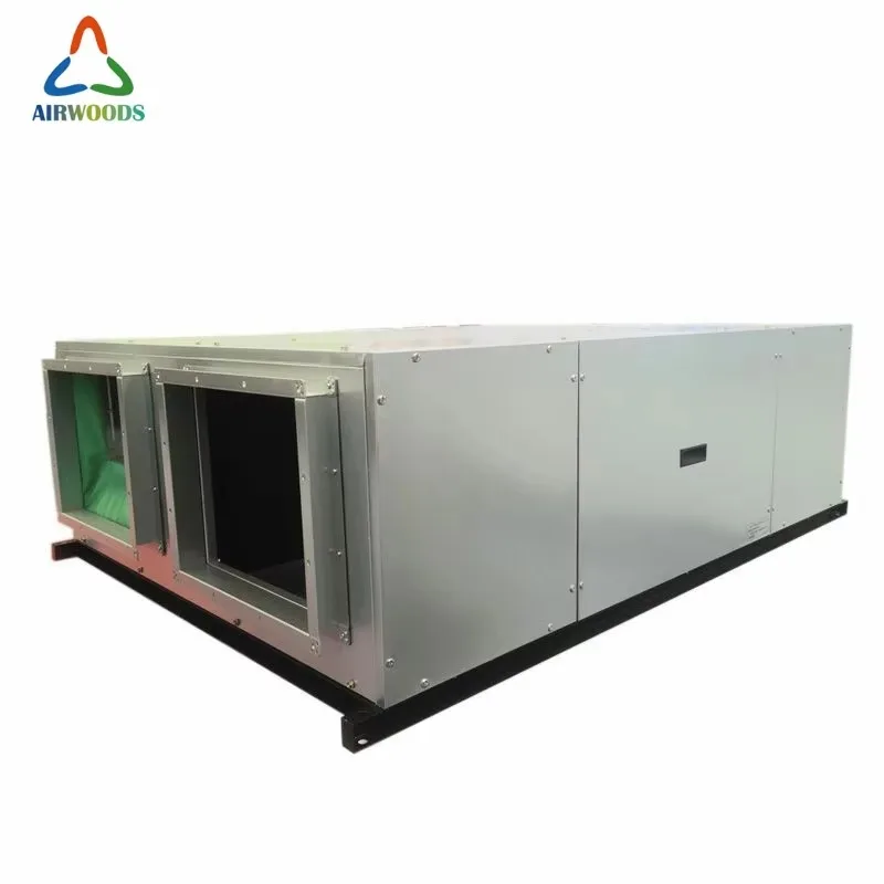 ERV Hvac Erv Manufacturer  2000 CMH ERV Heat Recovery Ventilation Fresh Air Systems For Basements