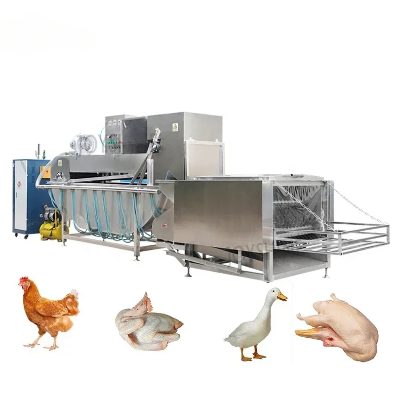 Large Chicken Plucker Slaughter Equipment Feather Scalding and Plucking Machine for Sale