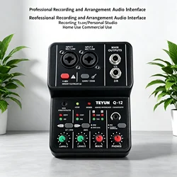 2 Channels Professional Portable Audio Interface Sound Card Console Mini USB MIXER for Guitar Recording Studio and Singing