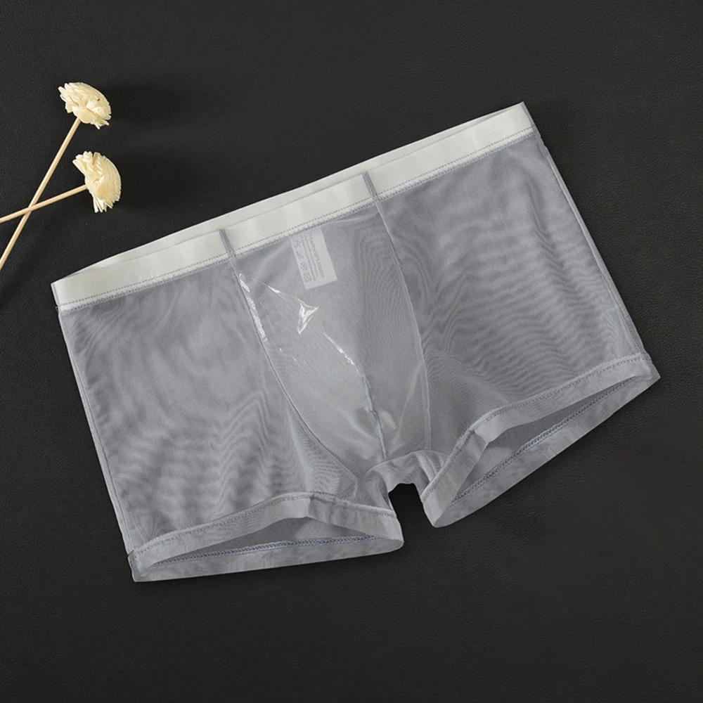 

High quality New Briefs Men\\'s Mesh Sexy Thin Transparent Underwear Boxer Gray Light Blue L~2XL Sapphire Shorts