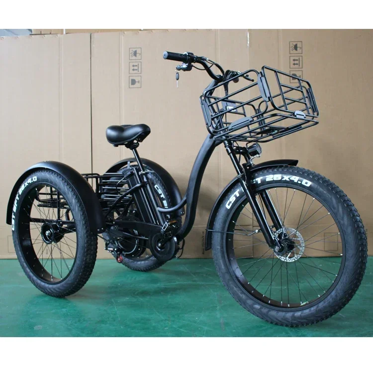 electric cargo tricycle for adult 20inch electric cargo bike fa tire electric tricycles e trike from MINGMAX