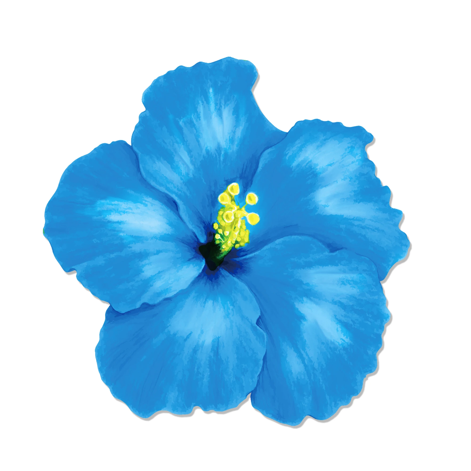 Hawaiianisches Thema, Partygeschenke, Brillen, lustige Sonnenbrille, Requisite, Essen, Tablett, hawaiianische Blumen, Tischset, Strand, Sommerparty-Dekorationen – Detail 9