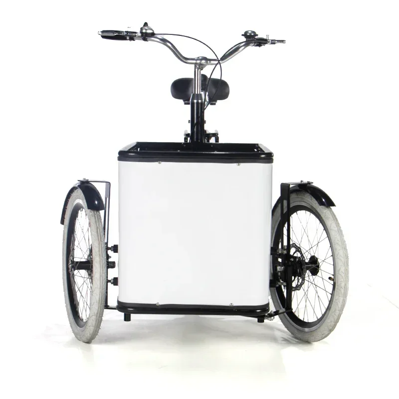 3 wheels rain cover adult tricycle new design small cargo 250w motor reverse trike